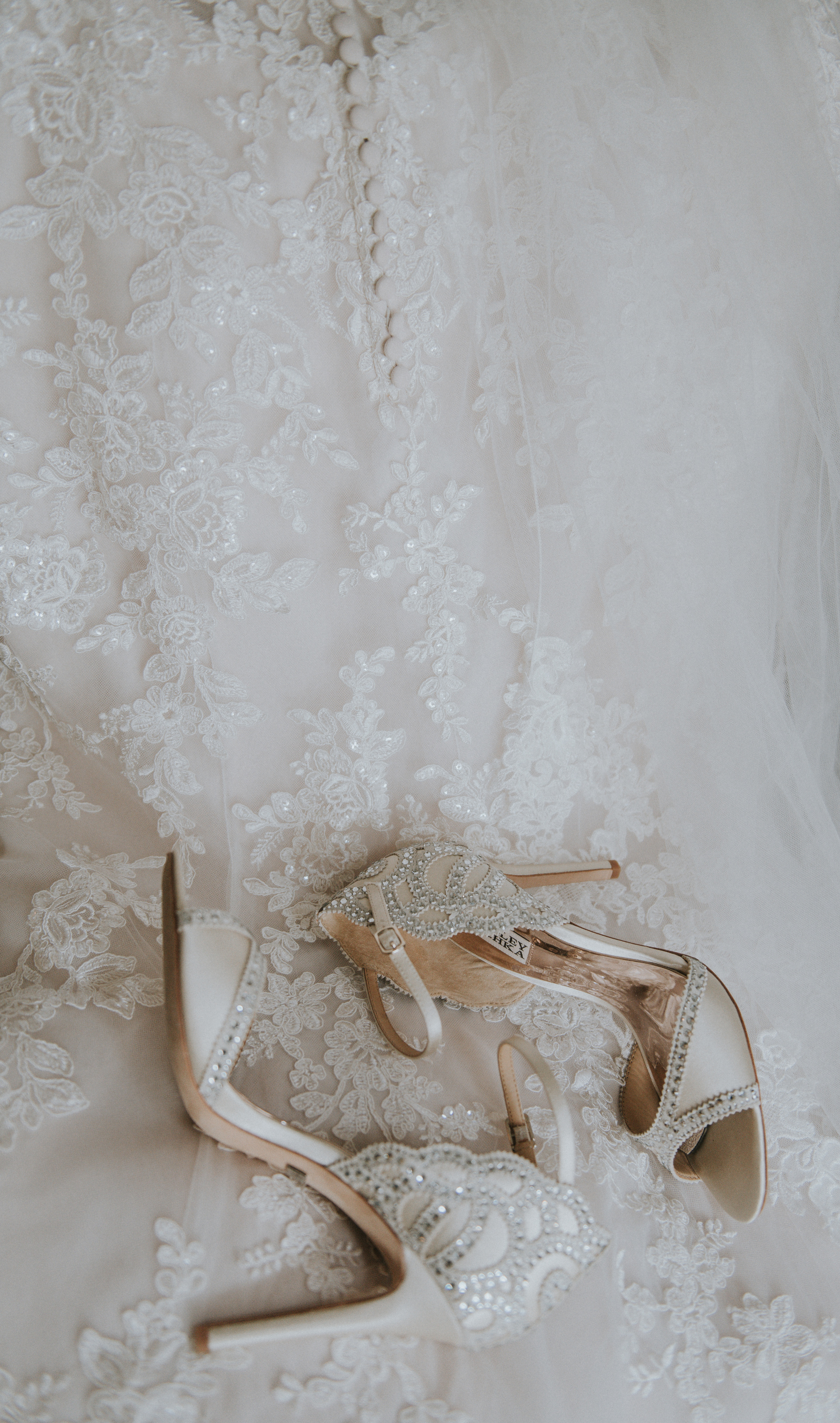 Bridal Shoes and Gown